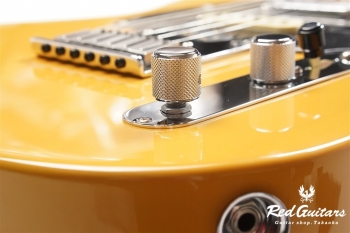 Player Plus  Nashville Telecaster - Butterscotch Blonde